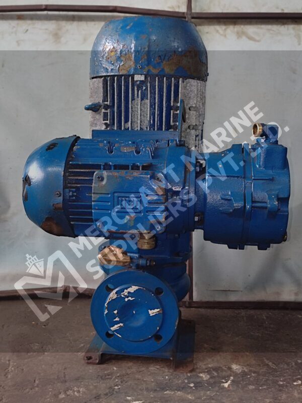 Azcue Pump LN-EP-40-125 With Motor
