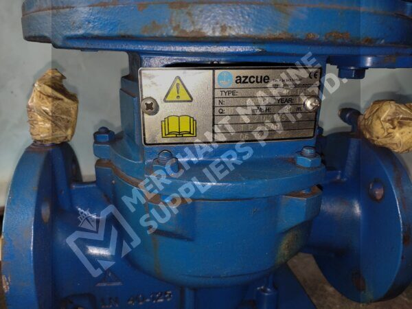 Azcue Pump LN-EP-40-125 With Motor