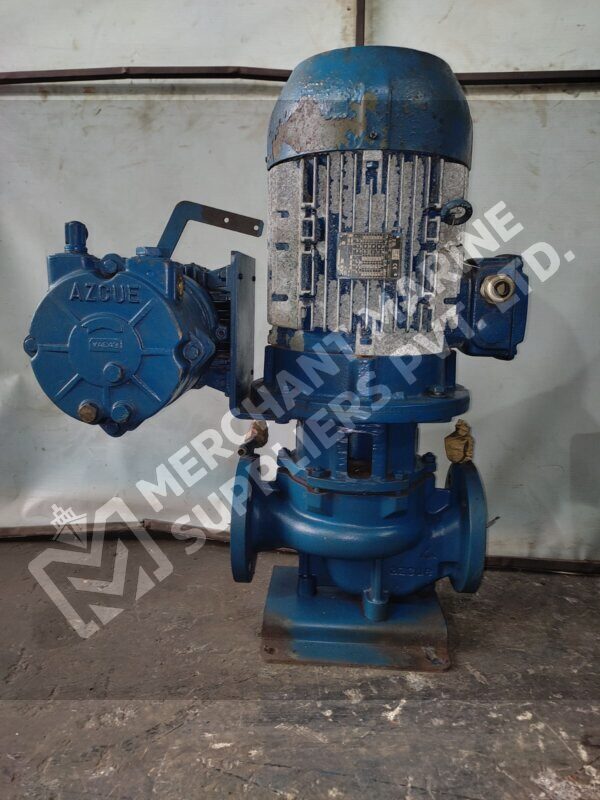 Azcue Pump LN-EP-40-125 With Motor