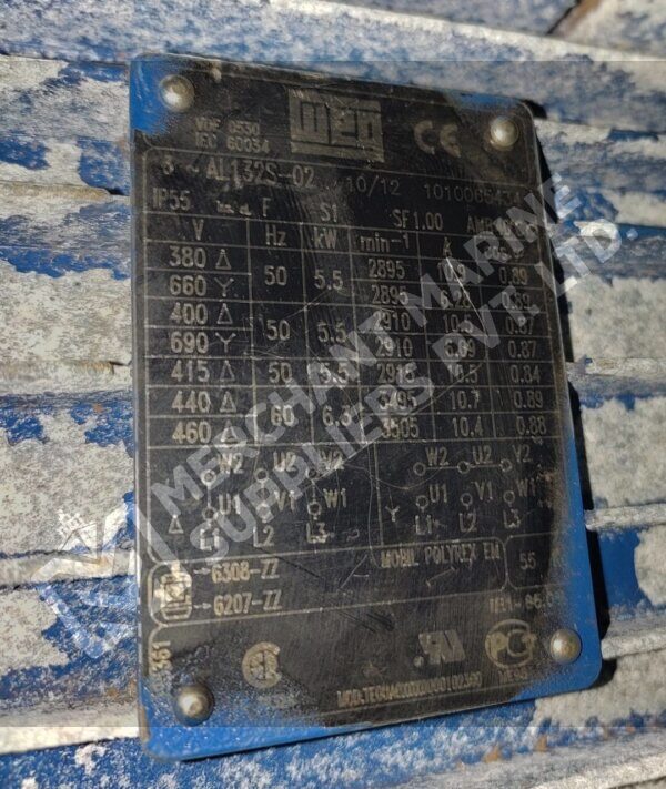 Azcue Pump LN-EP-40-125 With Motor