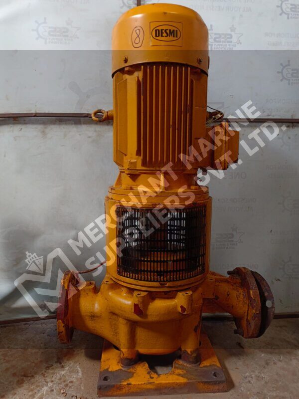Desmi Pump NSL125-265/A02 with motor (Cast Iron)