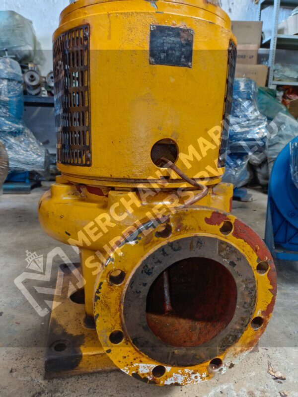Desmi Pump NSL125-265/A02 with motor (Cast Iron)
