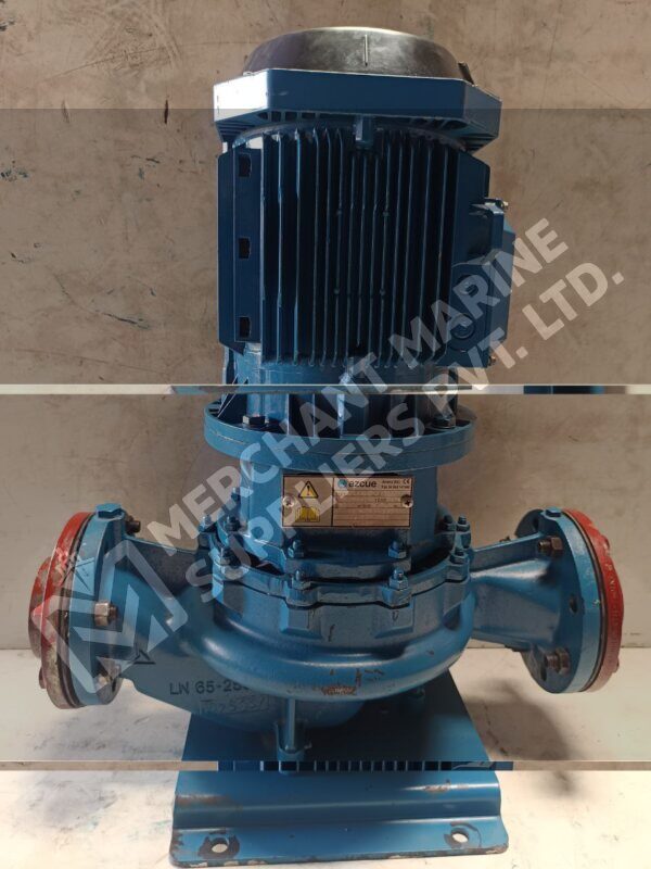 Azcue LN65-250 Vertical Centrifugal Pump